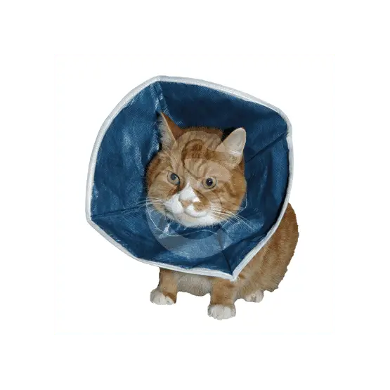 Carcan souple Buster Soft Collar UU Must-Have