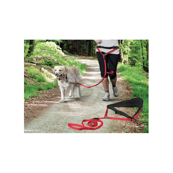 Commander Maintenant Ceinture Canicross