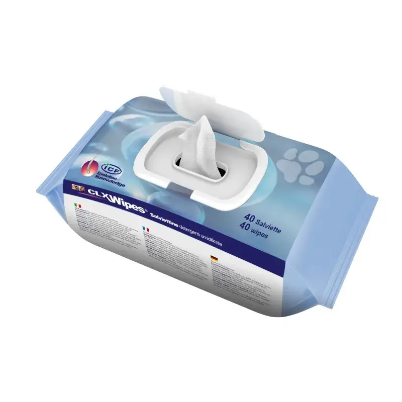 CLX Wipes Promotion
