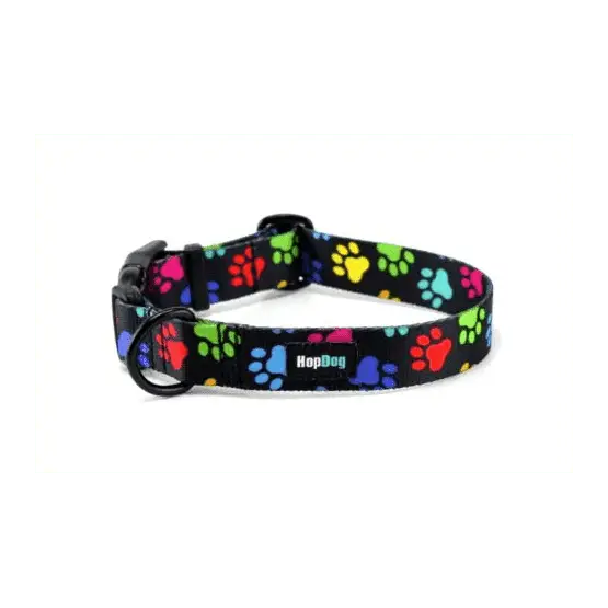 Soldes Collier Hop Dog Paw Wow