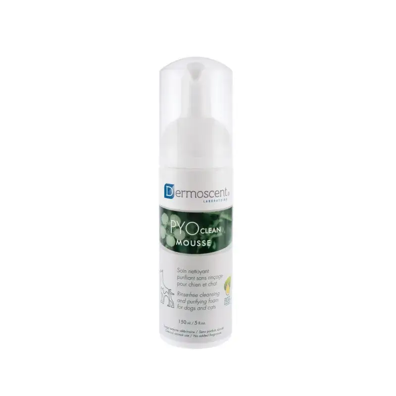 Populaire Dermoscent Pyoclean Mousse