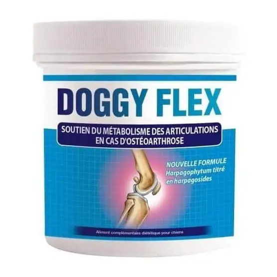 Doggy Flex Nouvel Arrivage
