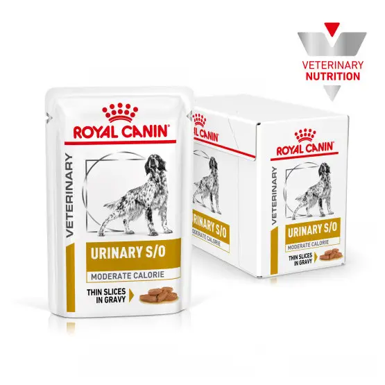 Royal Canin Dog Urinary S/O Moderate Calorie Commande En Gros