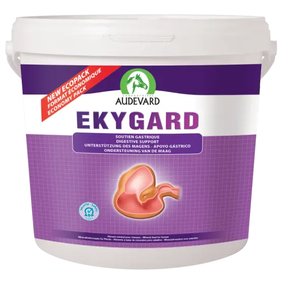 Nouveauté Ekygard