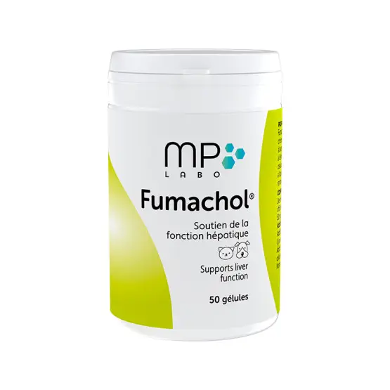 Promotion Saisonnière Fumachol