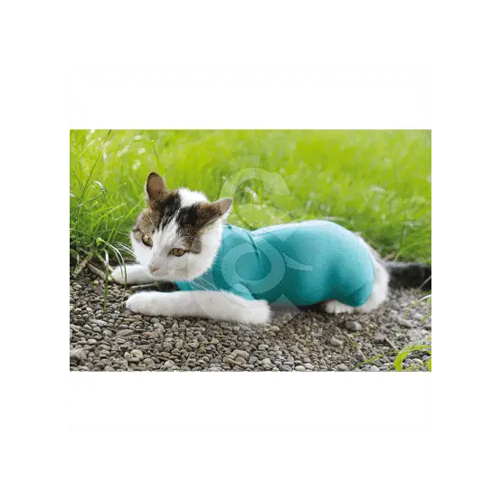 Authentique Gilet CatBody VetMedCare pour chat