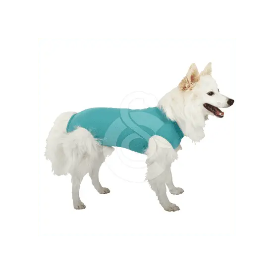Acheter Direct Gilet DogBody VetMedCare pour chien