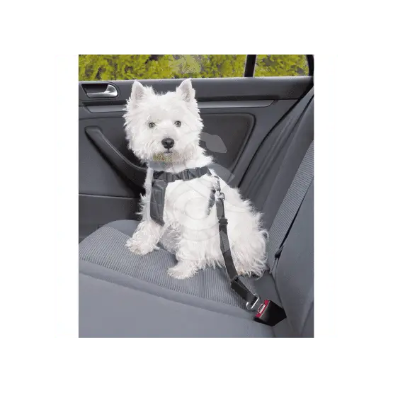 Acheter En Ligne Harnais de sécurité voiture pour chien