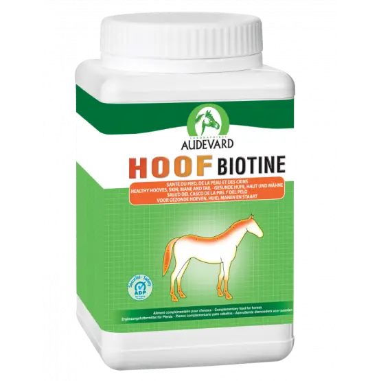 Hoof Biotine Prix Choc