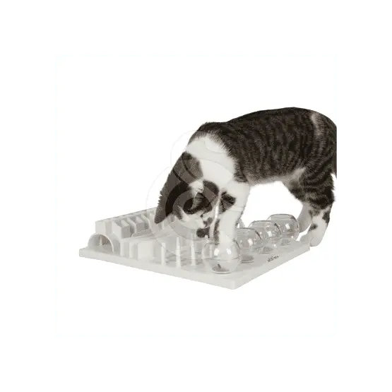 Acheter Direct Jouet chat éducatif : Plateau Fun Board
