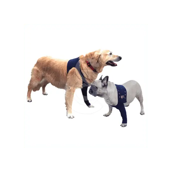 Retour Gratuit Manche antérieure Pet Shirt pour chien