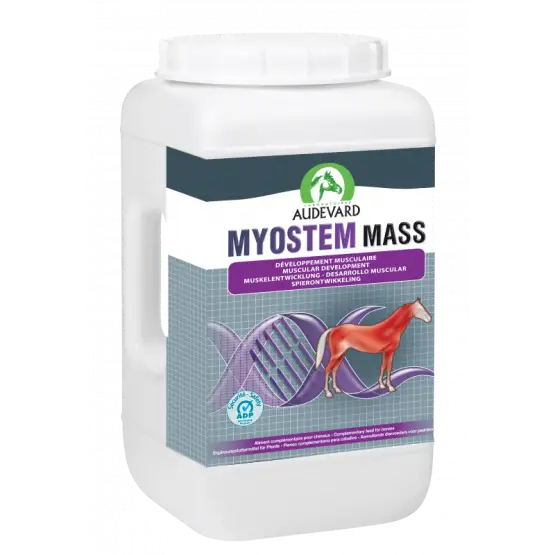Myostem Mass Prix Promo