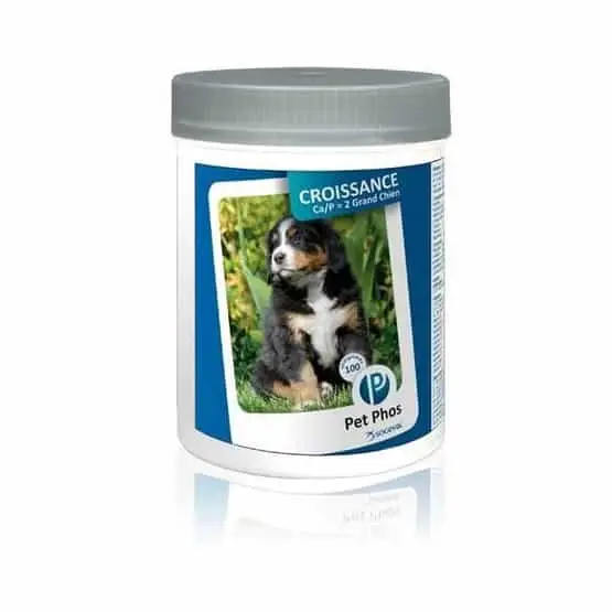 Offre Exclusive Pet-Phos Croissance Grand Chien