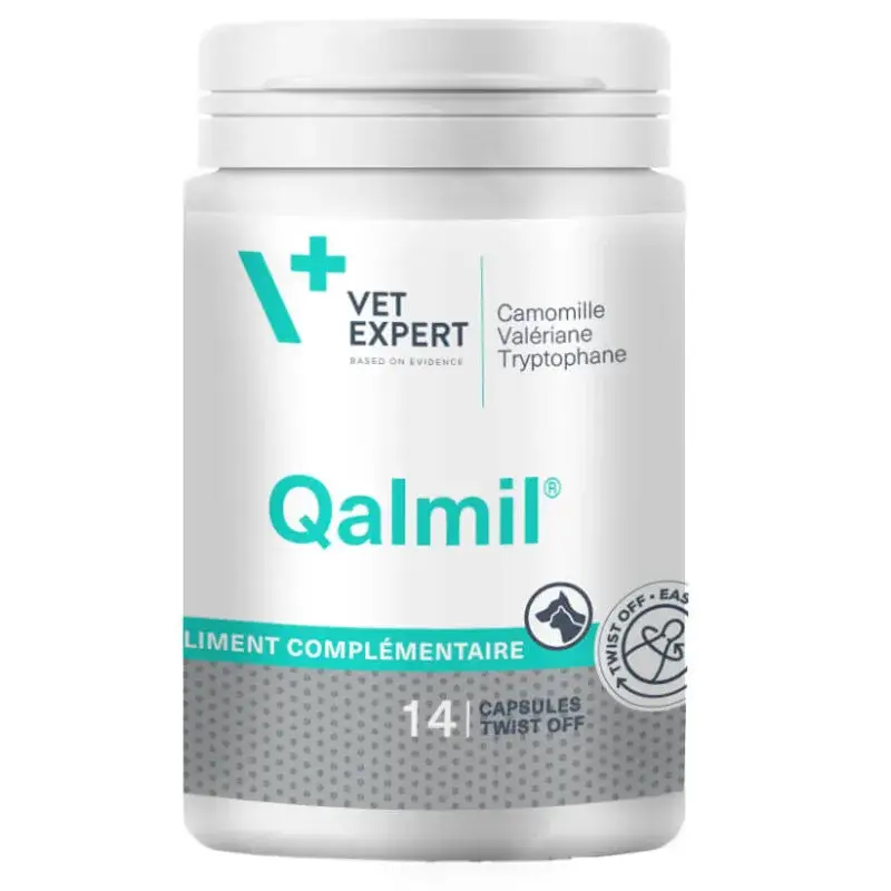 Qalmil Must-Have