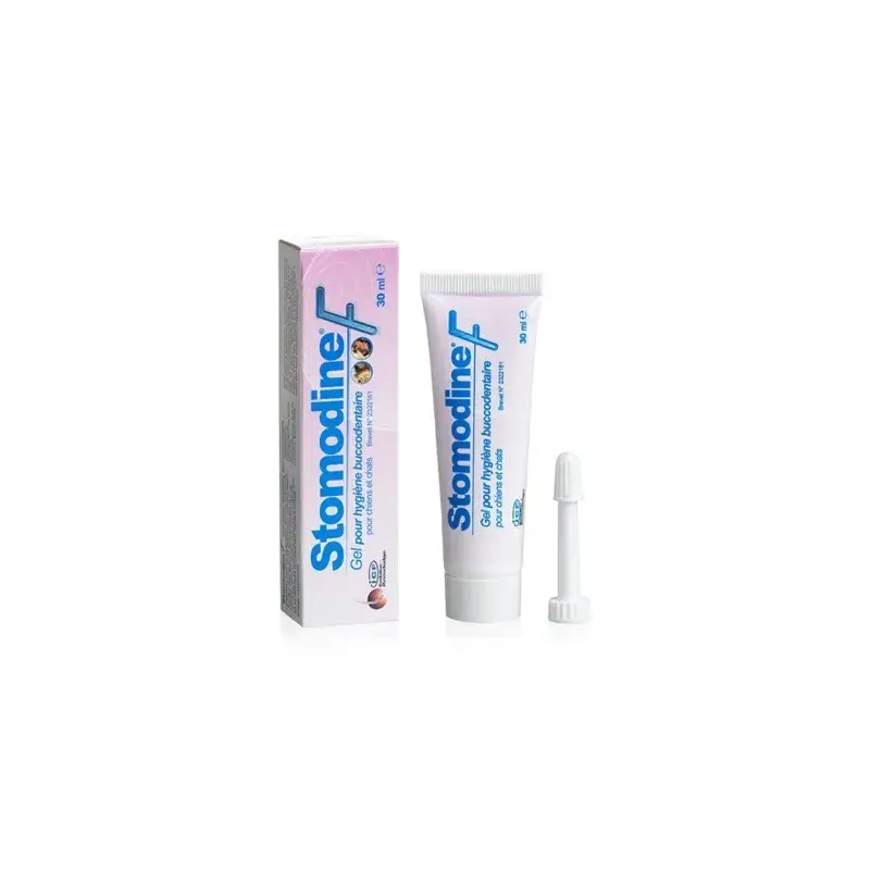 Stomodine F Affaire À Saisir