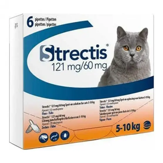 Strectis Chats 5-10 kg Quantité Limitée