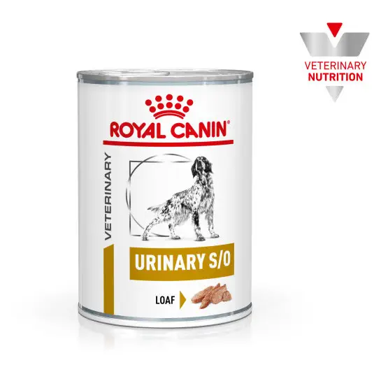 Royal Canin Dog Urinary S/O Boîte Offre Limitée