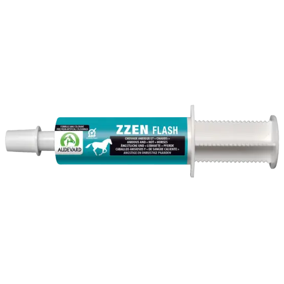 Soldes Zzen Flash