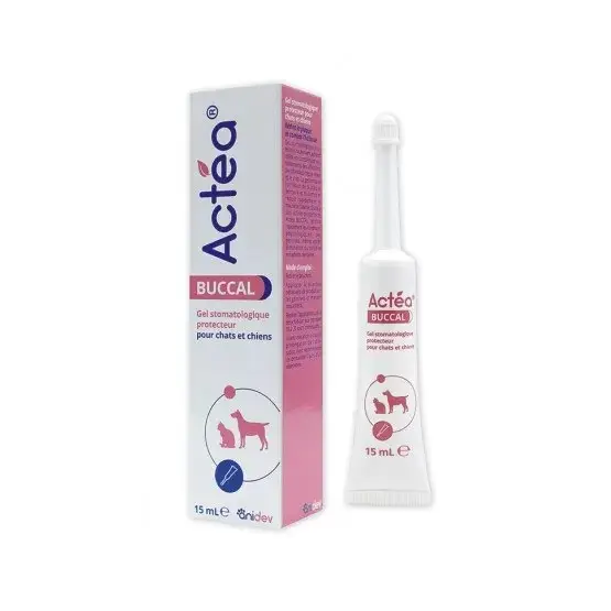 Actea buccal Usine Directe