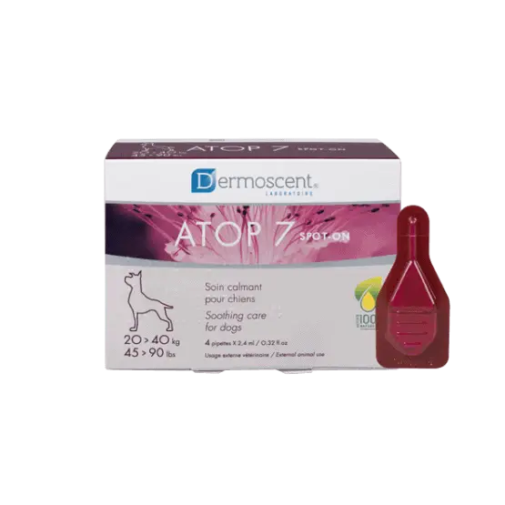 Dermoscent Atop 7 Spot-on Chien 20-40 kg Livraison Express
