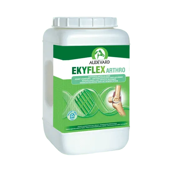 Ekyflex Arthro EVO Commande En Gros