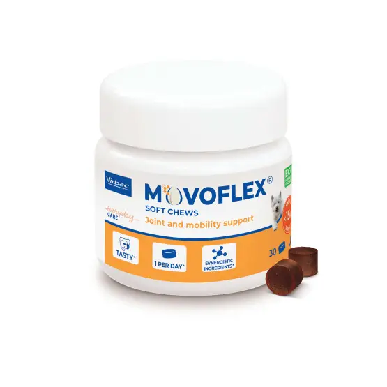 Movoflex Chien S Populaire