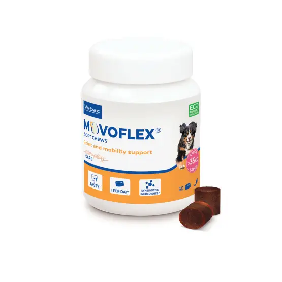 Meilleur Prix Movoflex Chien L