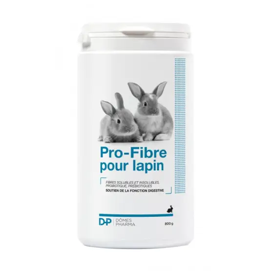 Expédié Aujourd&rsquo;hui Pro-Fibre Lapin