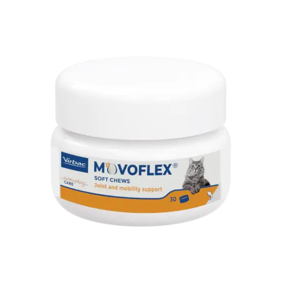 Dernier Modèle Movoflex Chat