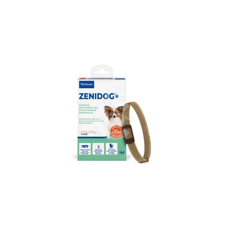 Offre Exclusive Zenidog collier Chien