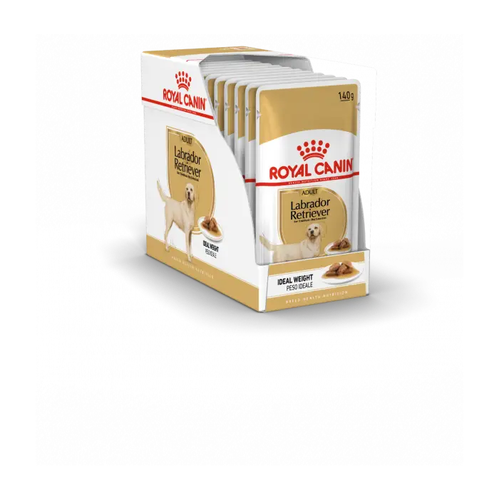 Seulement Aujourd&rsquo;hui Royal Canin Labrador Retriever 10x pour Chien 140g