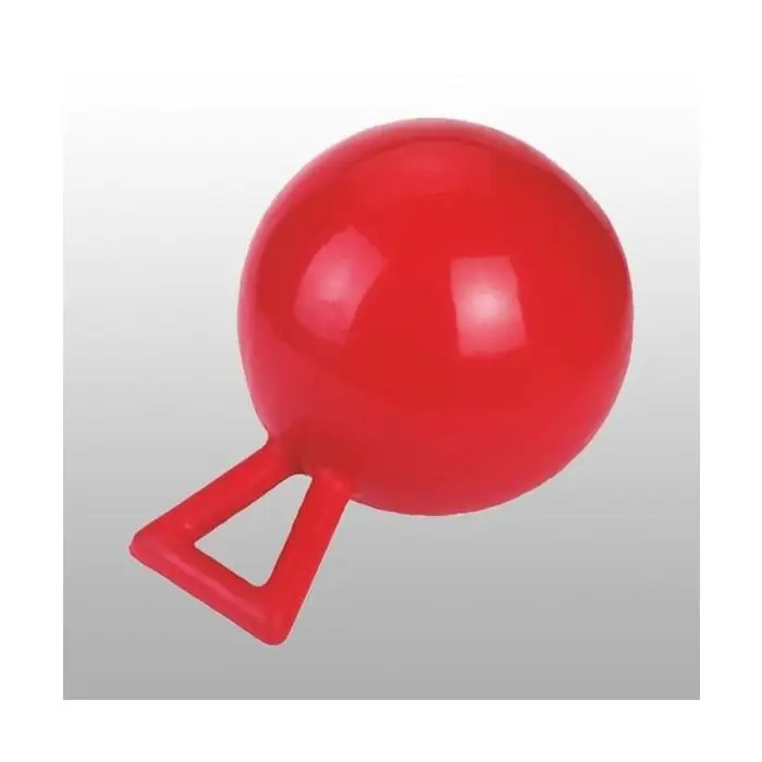 Balle de jeu pour chevaux Authentique