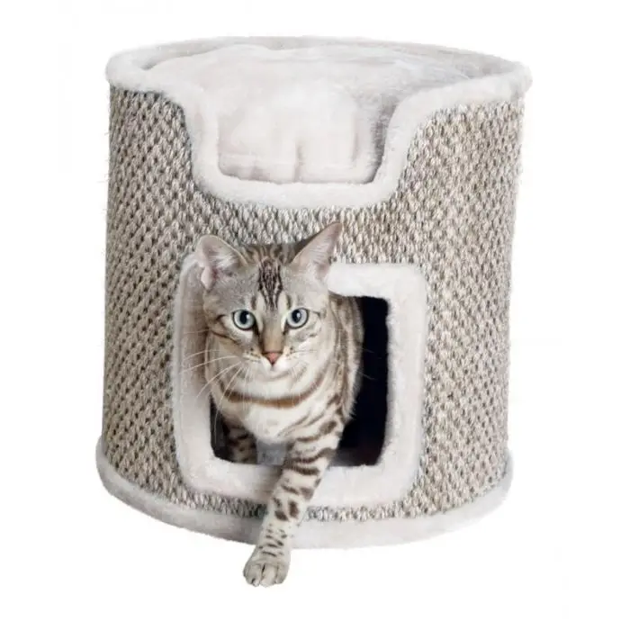 Authentique Trixie Tour À Griffer Ria pour Chat