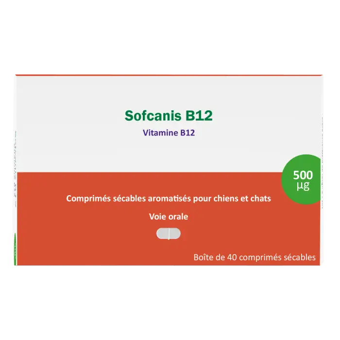 Sofcanis B12 40 Comprimés Must-Have