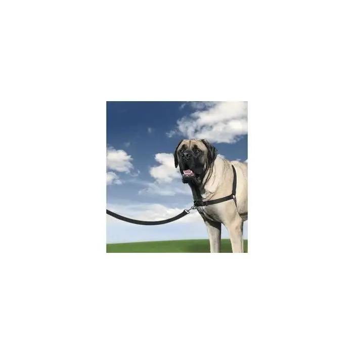 Vente Directe Harnais Easy Walk / XL / 86 – 117 cm : Races Géantes