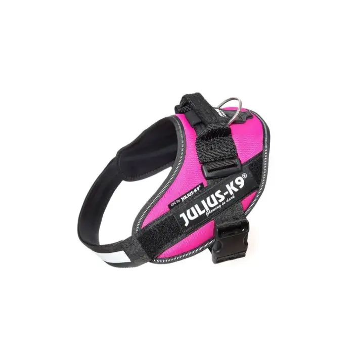 Seulement Aujourd&rsquo;hui Harnais Julius IDC Power-K9 Fuschia Taille 3 82-115 cm