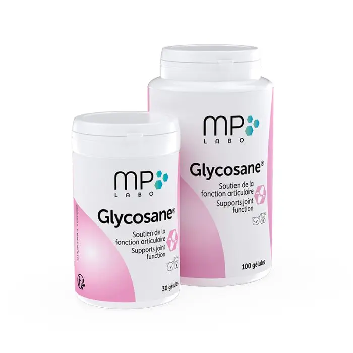 GLYCOSANE Dernier Modèle