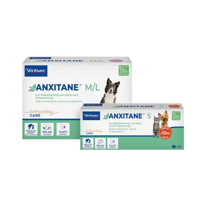 Commander Maintenant Anxitane