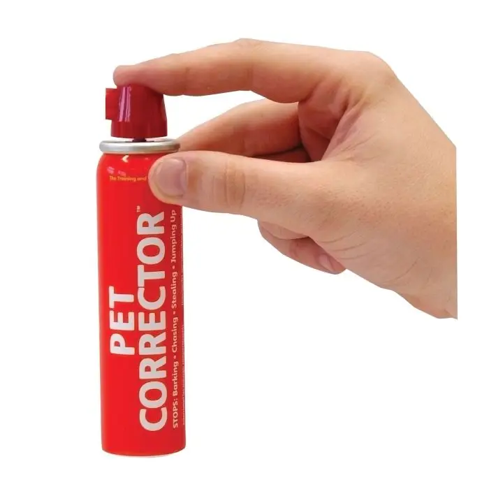 Top Vente Pet Corrector