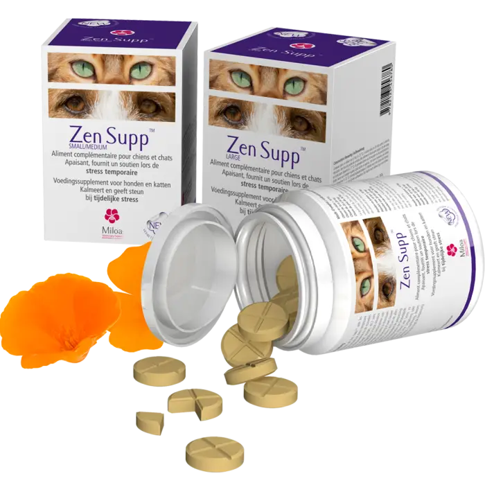 Dernier Modèle ZEN SUPP MILOA