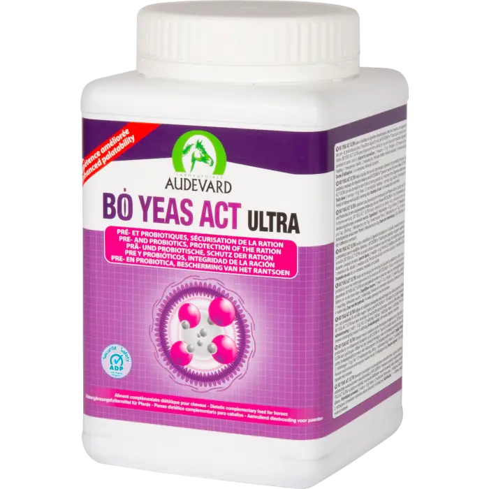 Top Vente BO YEAS ACT ULTRA