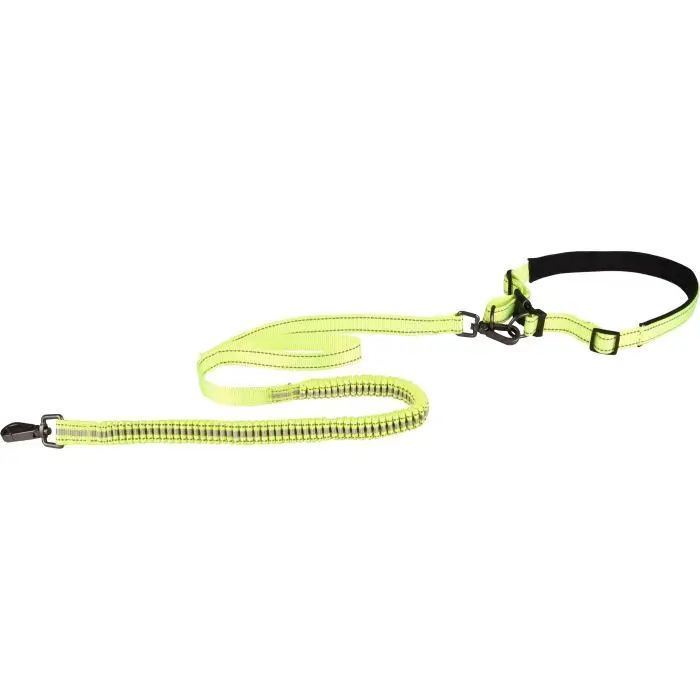 Authentique Flamingo Laisse Pour Le Jogging 103cm + Ceinture Ventrale 70-90cm Diran S