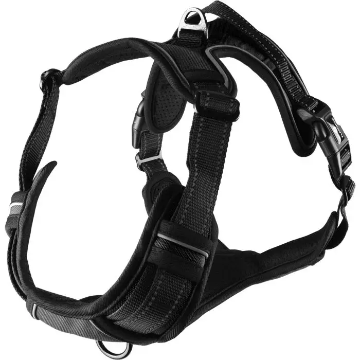Quantité Limitée Flamingo Harnais Balou pour Chien L 60-85cm 25mm Noir
