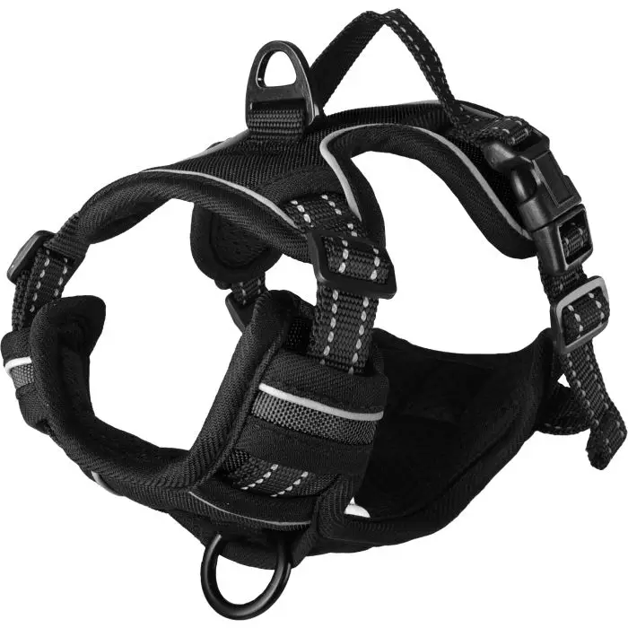 Commander Vite Flamingo Harnais Balou pour Chien S 40-55cm 20mm Noir