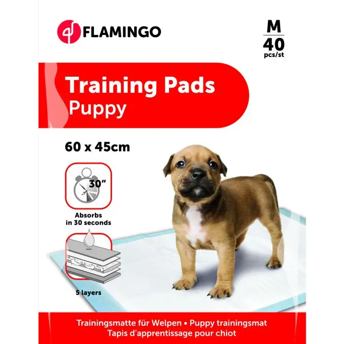 Tapis d&rsquo;Apprentissage Pady M 40pcs 60x45cm Super Prix