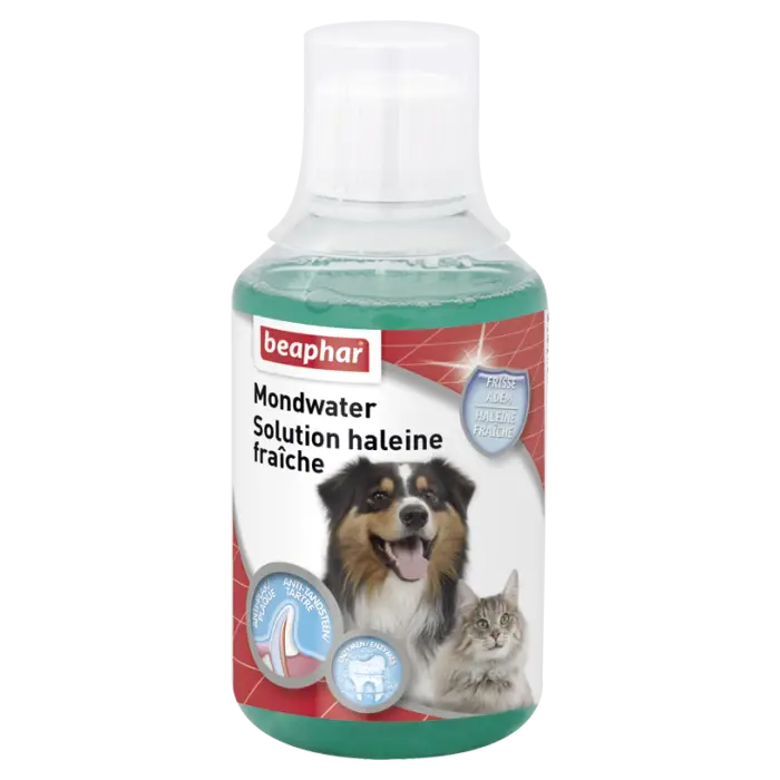 Beaphar Solution Haleine Fraîche pour Chien & Chat 250ml Populaire