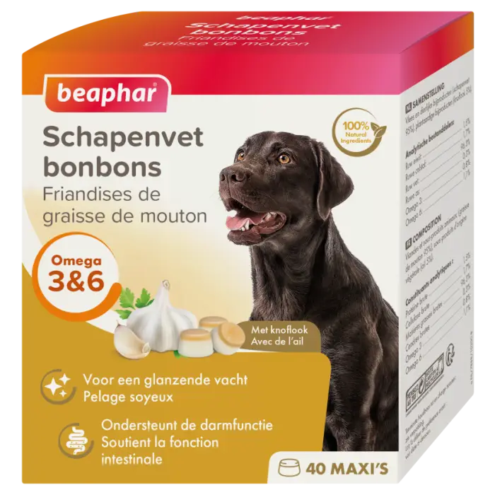 Beaphar Friandises De Graisse De Mouton Ail pour Chien 245g Jusqu&rsquo;à Épuisement Des Stocks