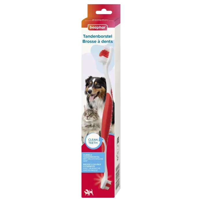 Beaphar Brosse À Dents pour Chien & Chat Vente Directe