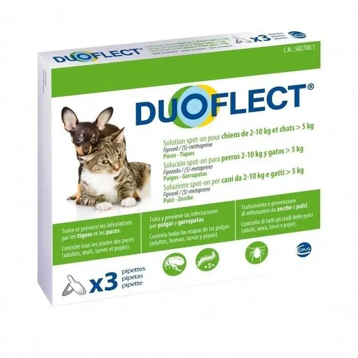 Dernier Modèle Duoflect Petit Chien