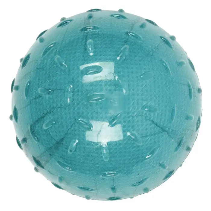 Yogi Family Balle Bleu pour Chien 8cm Offre Exclusive